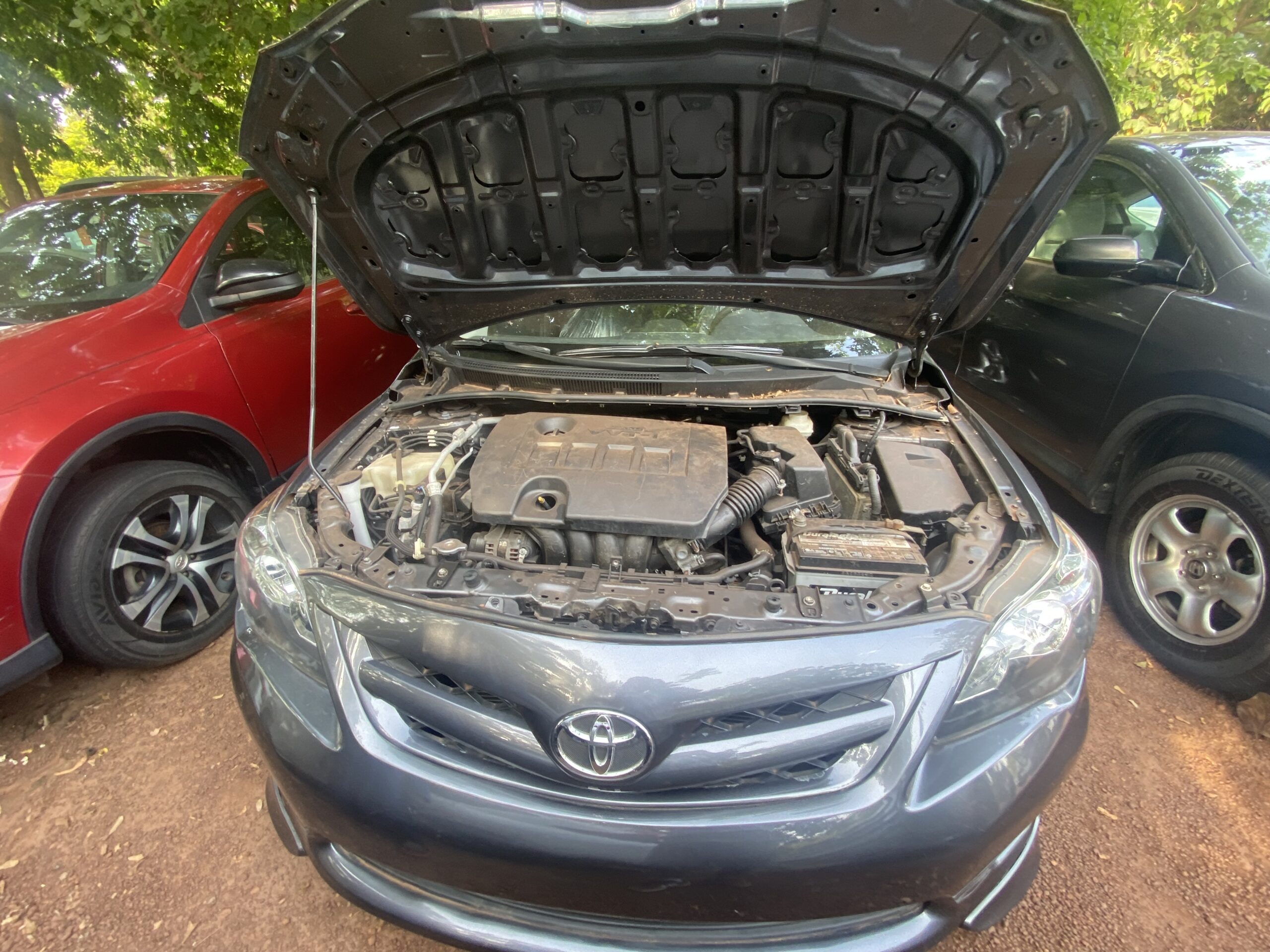 
								Toyota Corolla full									
