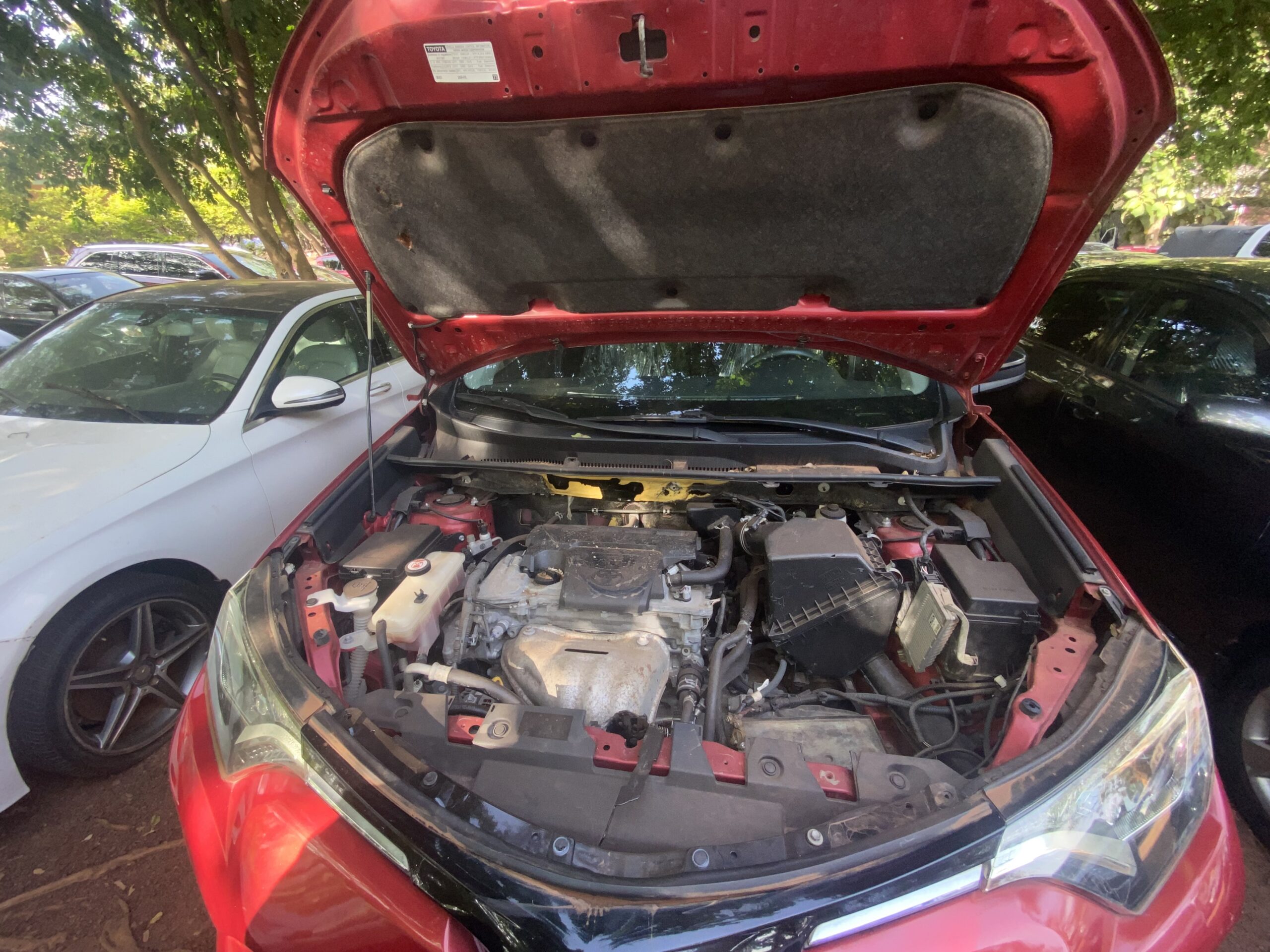 
								2015 Toyota RAV4 Limited (Compact SUV) full									
