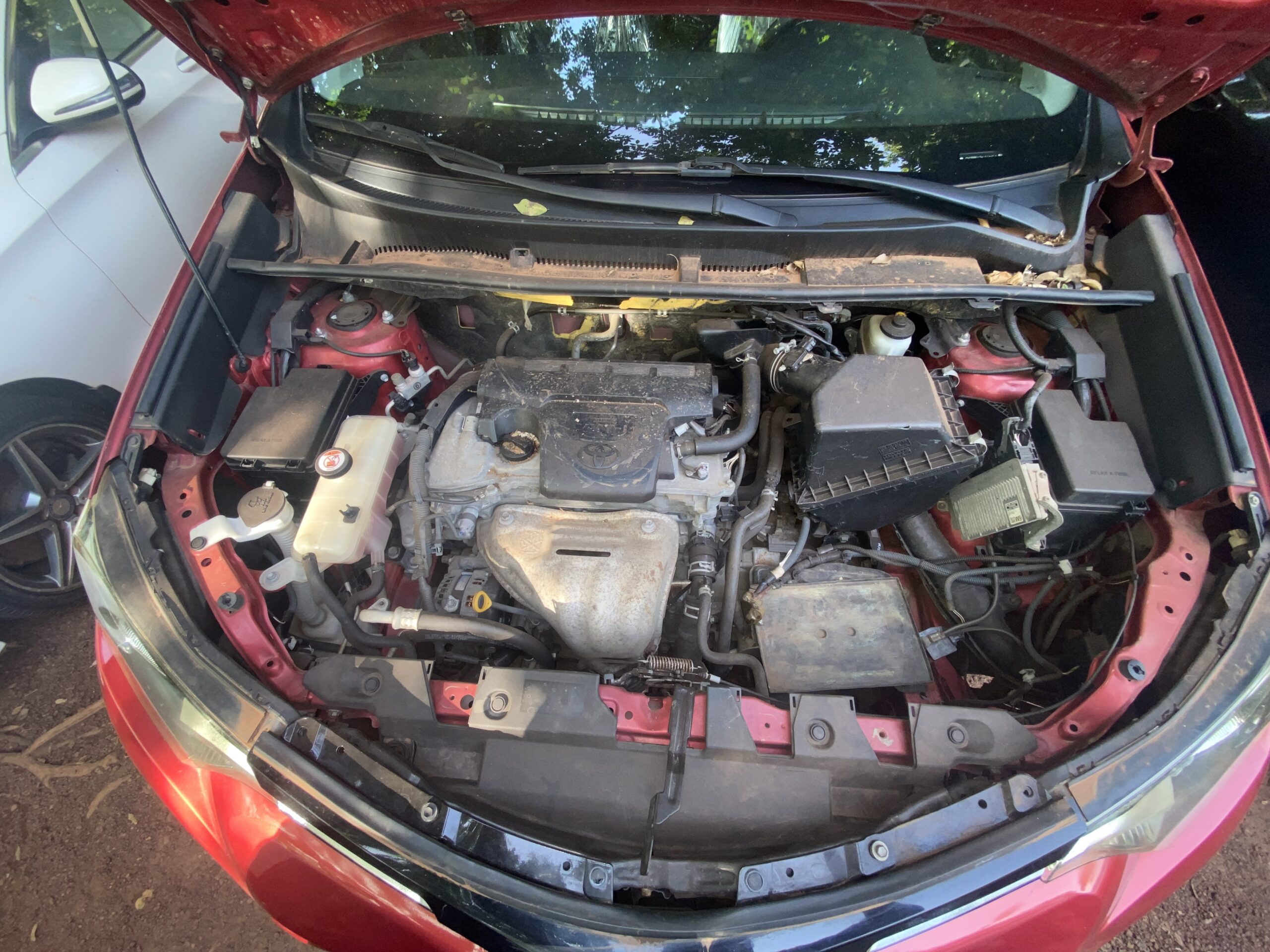 
								2015 Toyota RAV4 Limited (Compact SUV) full									